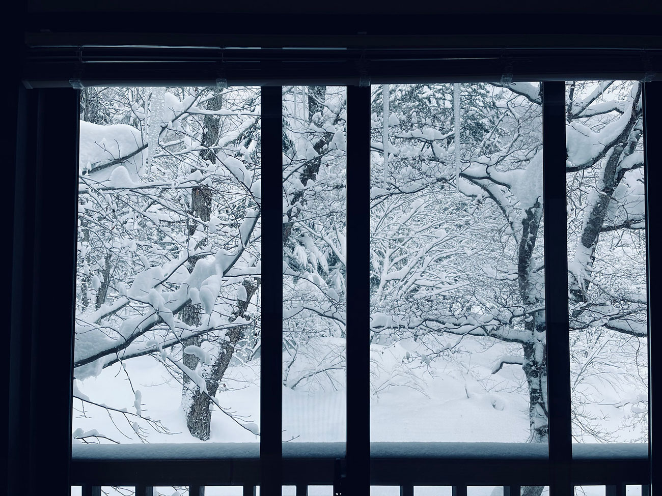 A view through a window at snow-covered trees and a snow-topped deck during the day